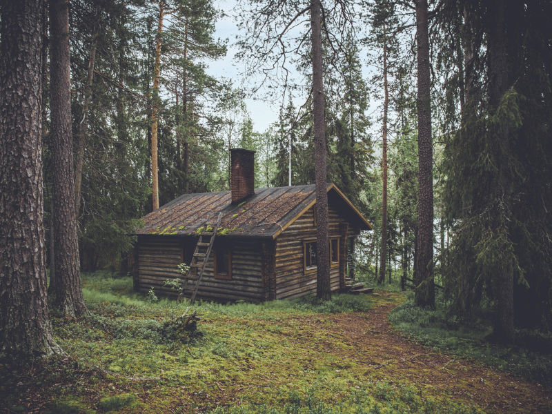 a log cabin in the woods