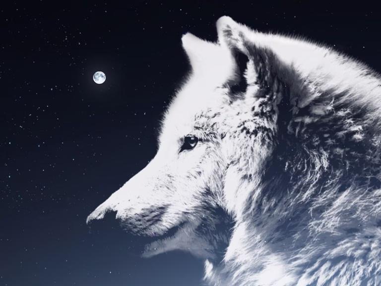 White Wolf
